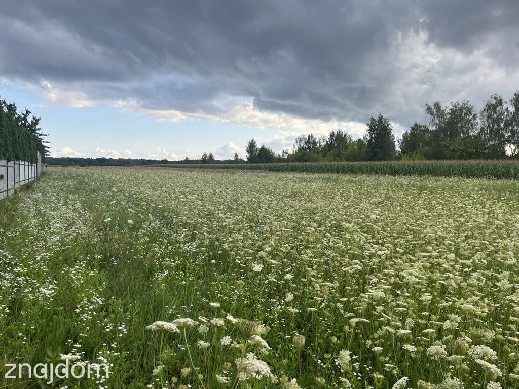 Działka inwestycyjna 6 354 m² w Zwoleniu - zdjęcie 8