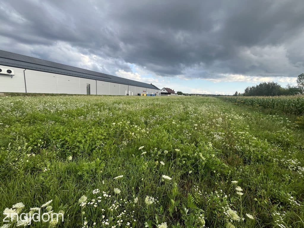 Działka inwestycyjna 6 354 m² w Zwoleniu - zdjęcie 9