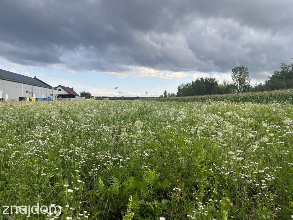 Działka inwestycyjna 6 354 m² w Zwoleniu - zdjęcie 10