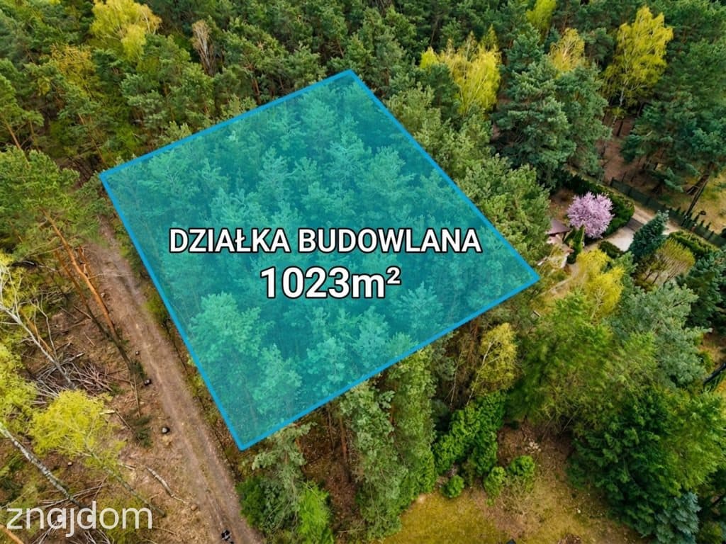 Tu las będzie Twoim sąsiadem|Wizualizacja