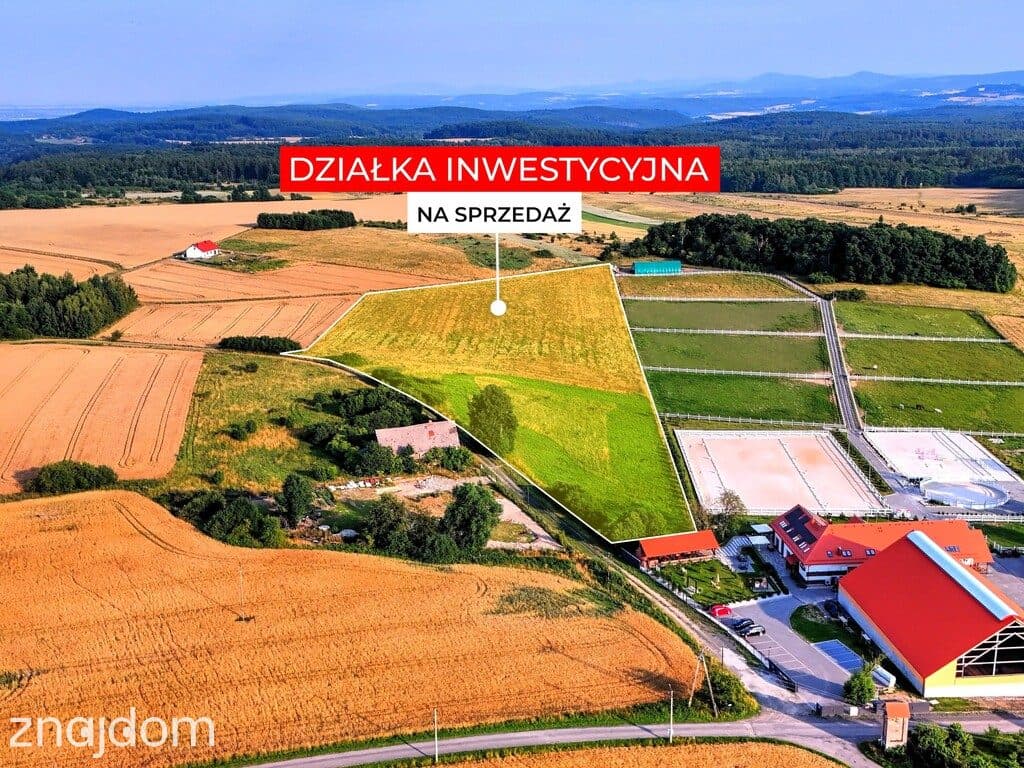 2,70 ha wyjątkowych możliwości. Myślinów k/Jawora - zdjęcie 6