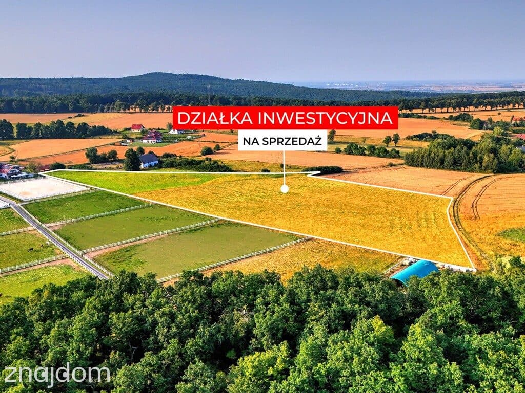 2,70 ha wyjątkowych możliwości. Myślinów k/Jawora - zdjęcie 7