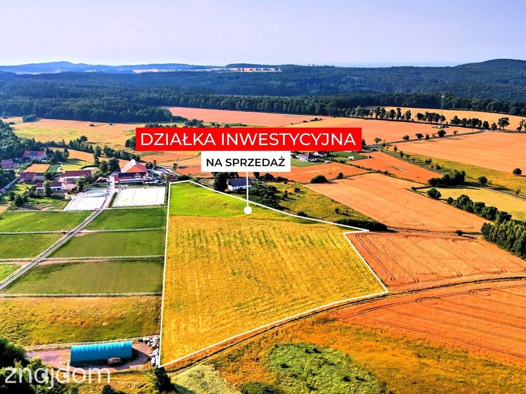 2,70 ha wyjątkowych możliwości. Myślinów k/Jawora - zdjęcie 8