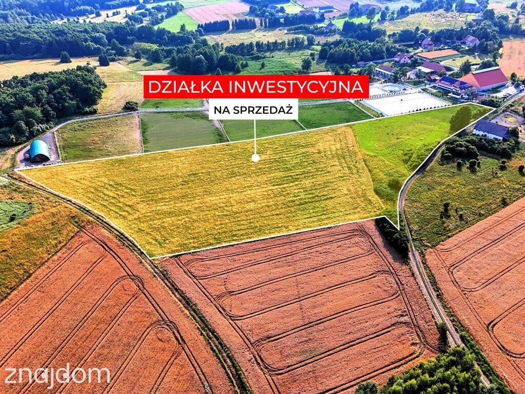 2,70 ha wyjątkowych możliwości. Myślinów k/Jawora - zdjęcie 2