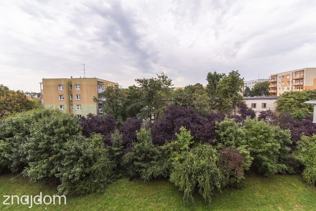 3 pokoje z klimatyzacją Okulickiego Zielona Góra - zdjęcie 5