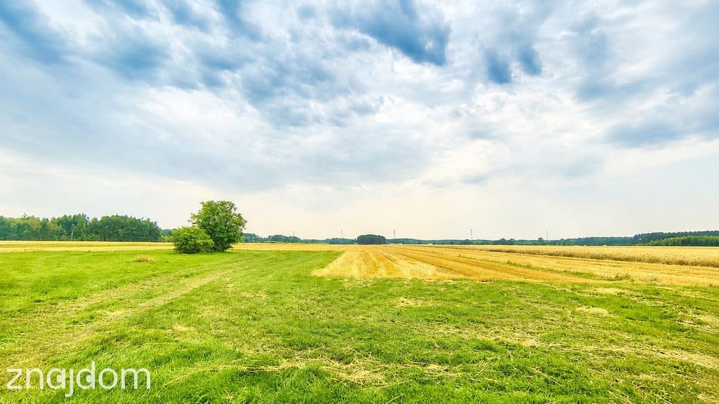 Ziemia rolna w miejscowości Dąbrowa Miętka 3,33ha - zdjęcie 2