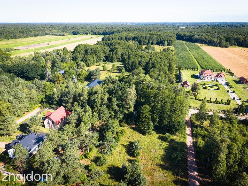 Zmieść dom i teściową! 1299 m² pod Łodzią - zdjęcie 5