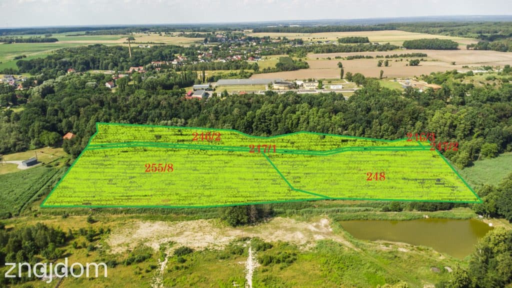 Prawie 7 ha w Żarach za 7.99 zł/m² - zdjęcie 6