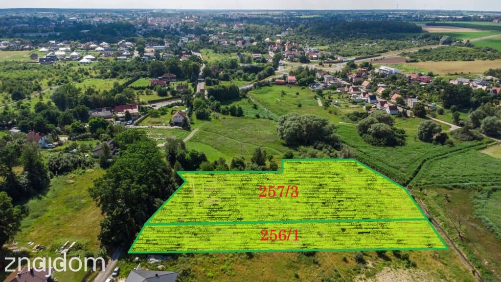 Dom, ŻARY