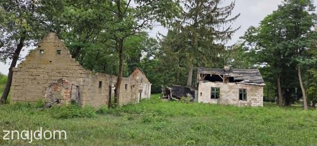 Inny wymiar życia! Zamień hałas na las - zdjęcie 7