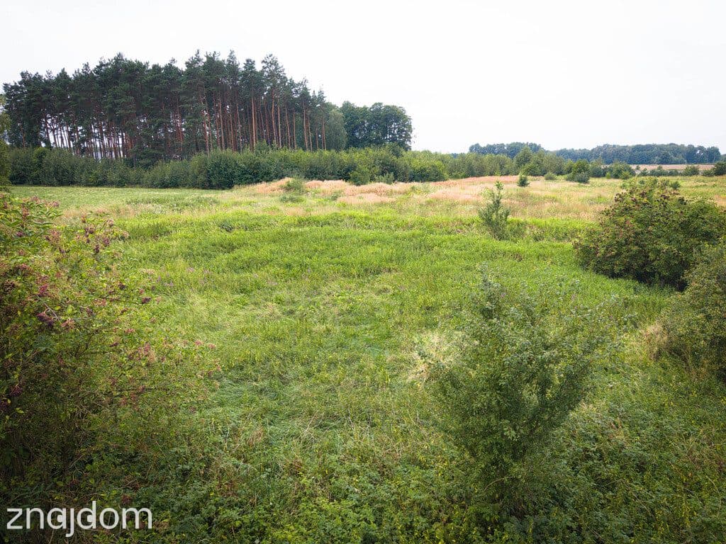 Działka budowlana 900 m², MPZP, droga utwardzona - zdjęcie 7