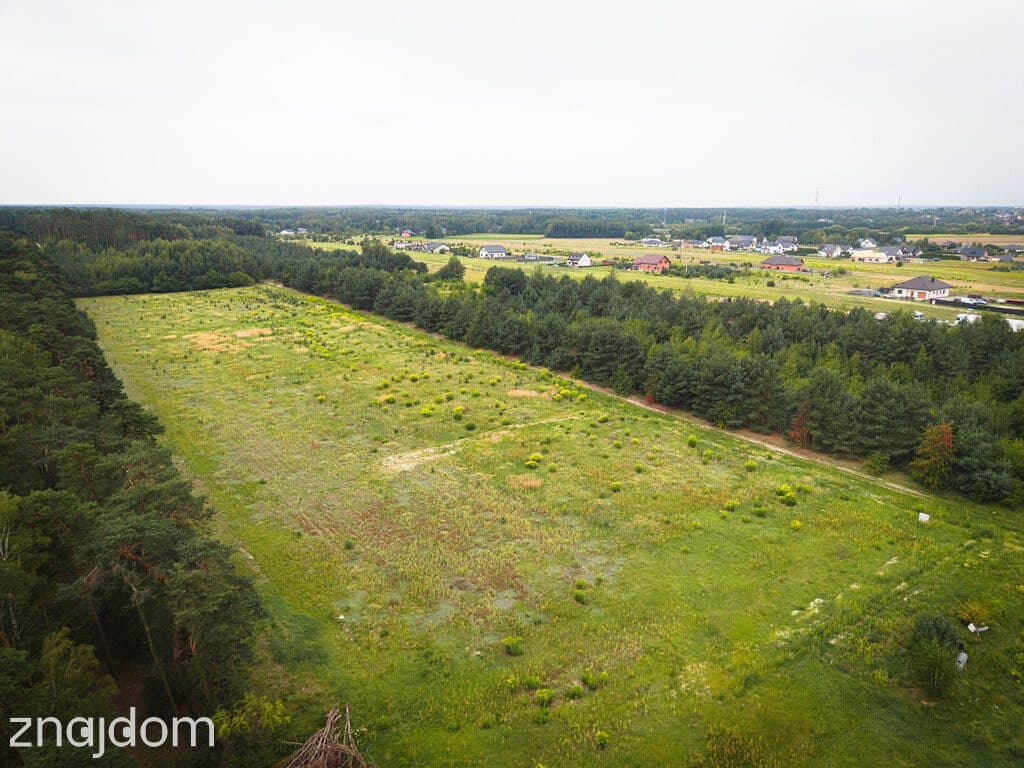 Leśna oaza 1085 m² | Sokolniki-Parcela | MPZP - zdjęcie 4