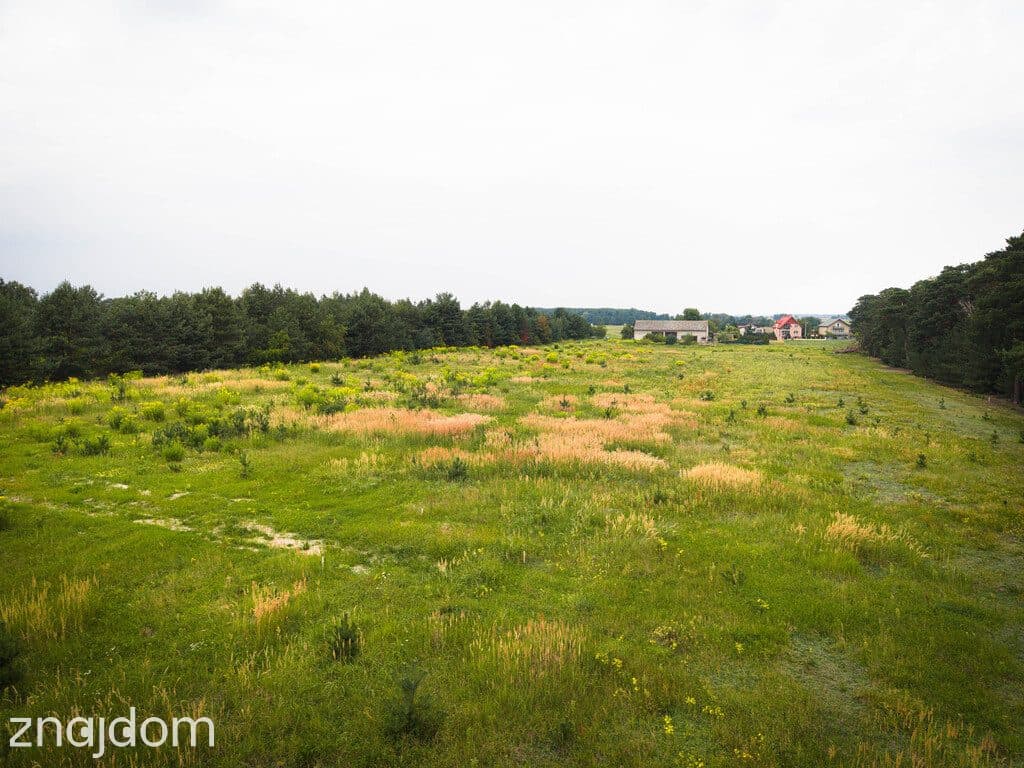 Leśna oaza 1085 m² | Sokolniki-Parcela | MPZP - zdjęcie 5