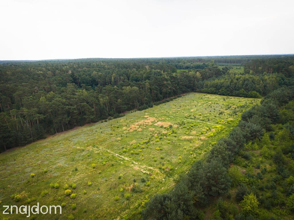Leśna oaza 1011 m² | Sokolniki-Parcela | MPZP - zdjęcie 6