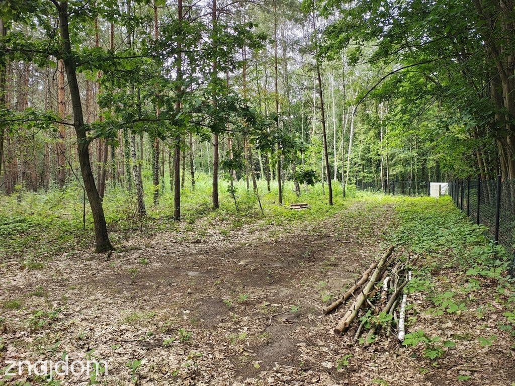 OKAZJA 160zł/m2 Sokolniki- Las - zdjęcie 2