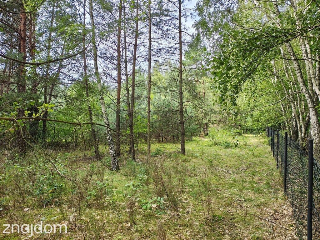150 zł/m2 w Sokolnikach-Lesie? TAK! - zdjęcie 2