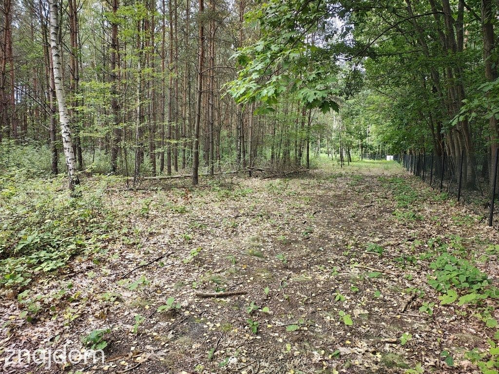 Działka 2442m2 w Sokolnikach-Lesie 150zł/m2 - zdjęcie 3