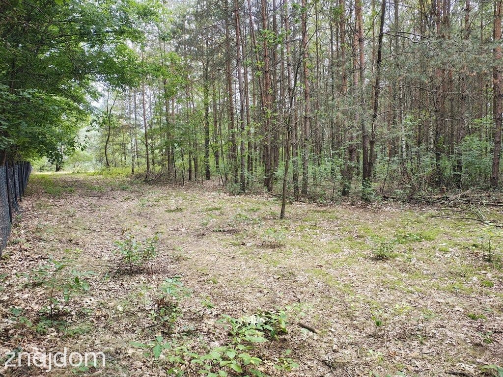 Działka 2442m2 w Sokolnikach-Lesie 150zł/m2 - zdjęcie 4