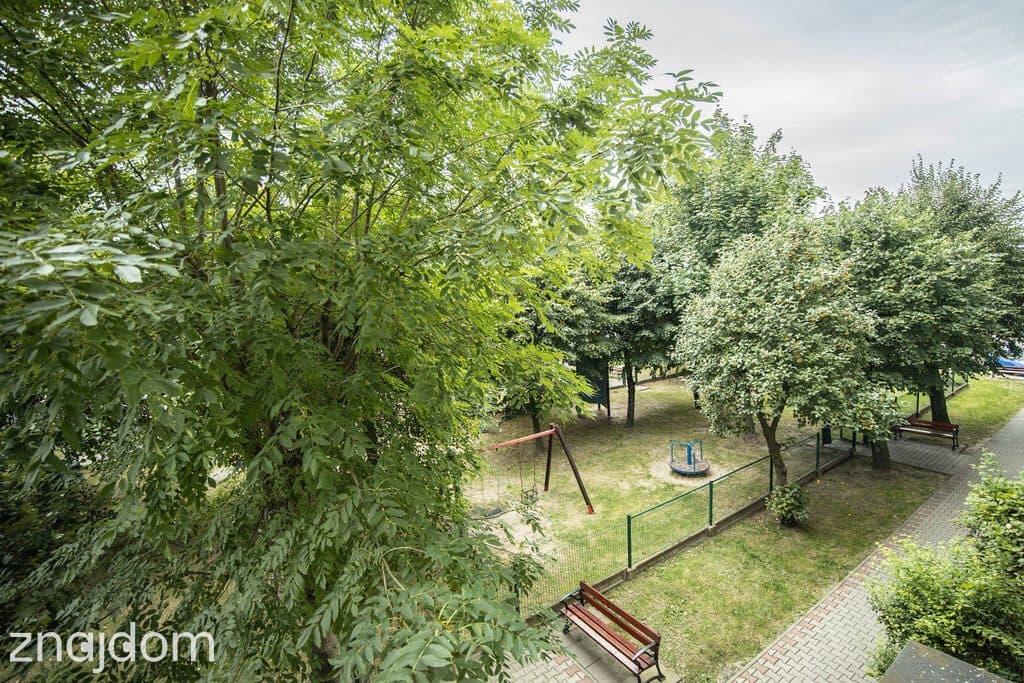 Rzuć wszystko i zamieszkaj na Daszyńskiego! - zdjęcie 15