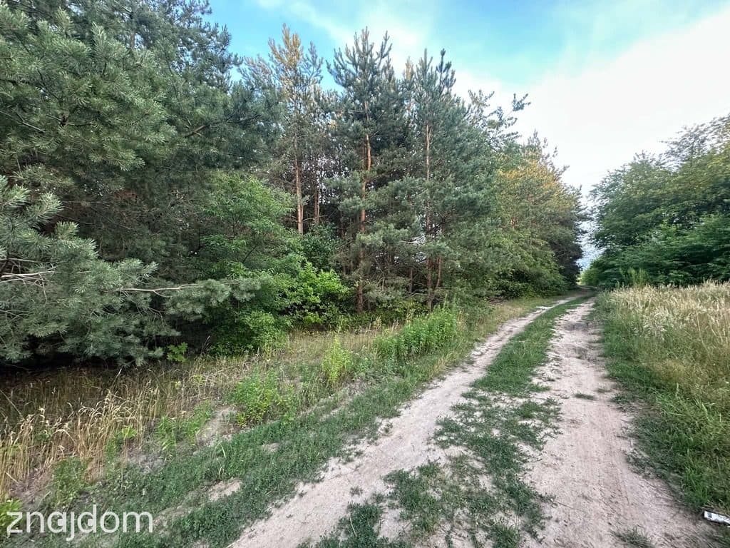 Rosanów, działka 3050m2, z ogromnym potencjałem. - zdjęcie 4