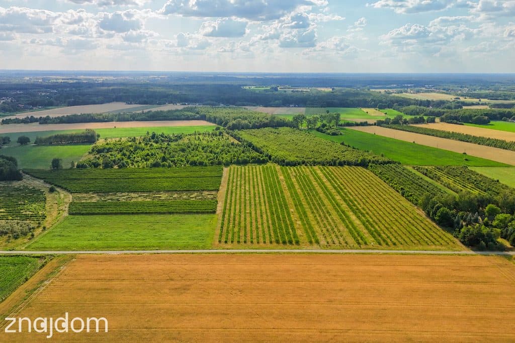 Przepiękna działka budowlana 5955m2 z WZ - OKAZJA! - zdjęcie 4