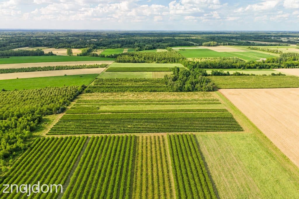 Przepiękna działka budowlana 5955m2 z WZ - OKAZJA! - zdjęcie 7