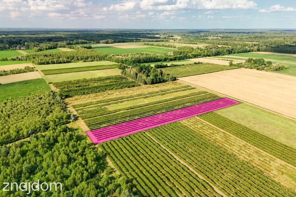 Przepiękna działka budowlana 5955m2 z WZ - OKAZJA! - zdjęcie 8