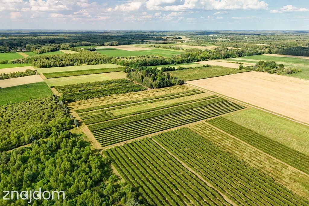 Przepiękna działka budowlana 5955m2 z WZ - OKAZJA! - zdjęcie 9