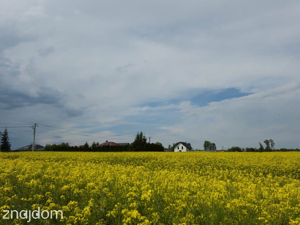 Działka na sprzedaż!