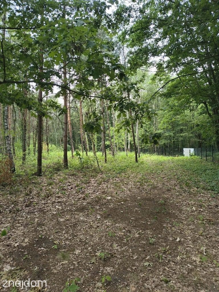OKAZJA 160zł/m2 Sokolniki- Las - zdjęcie 3