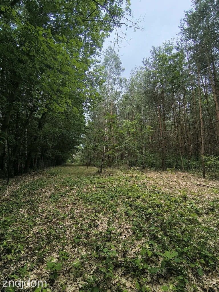 OKAZJA 160zł/m2 Sokolniki- Las - zdjęcie 2