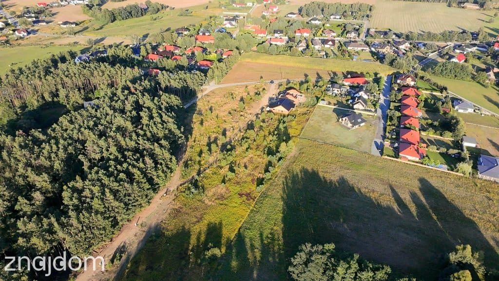 Aktulne ceny tylko do końca sierpnia! Zostało 8 - zdjęcie 13