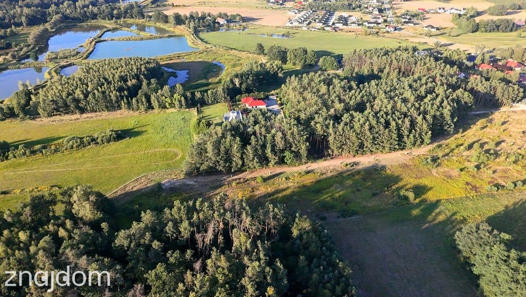 Aktulne ceny tylko do końca sierpnia! Zostało 8 - zdjęcie 16