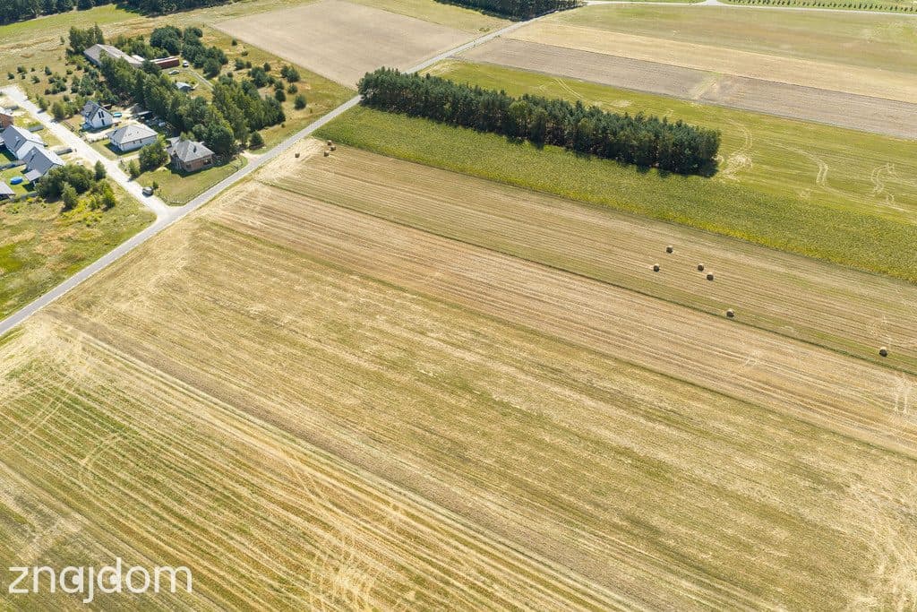 Działka rolna 1.6 ha - zdjęcie 2