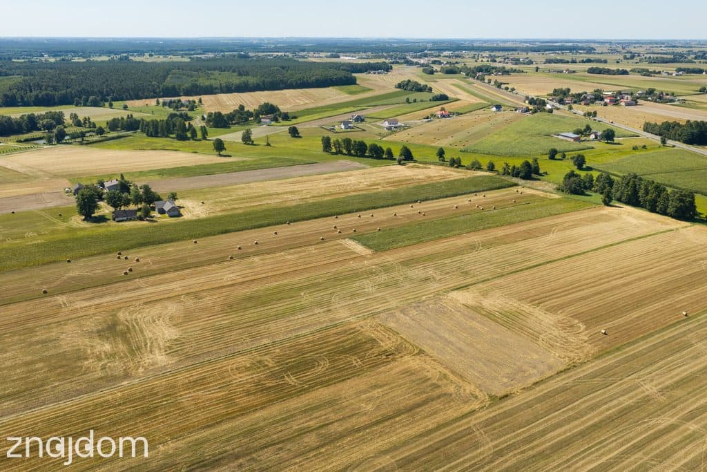 Działka rolna 1.6 ha - zdjęcie 5