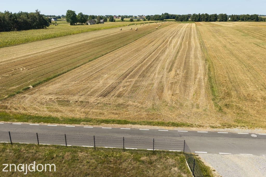 Działka rolna 1.6 ha - zdjęcie 9