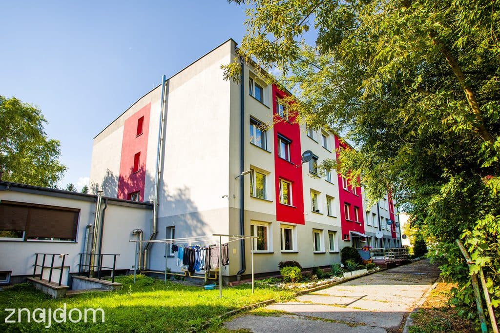 Metraż, który pokocha Twoja rodzina - zdjęcie 17