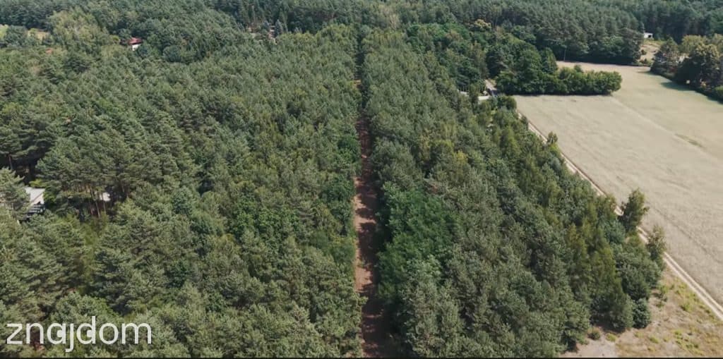 Działki budowlane Bądzyń - od 149 zł/m² MPZP - zdjęcie 3
