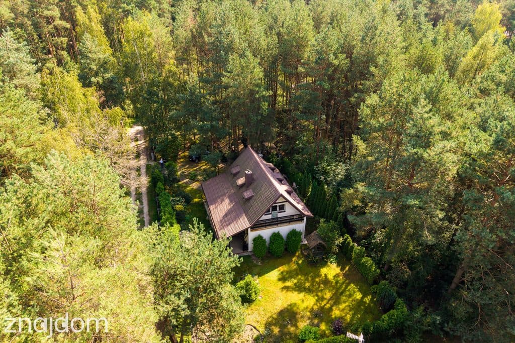 Leśna enklawa 40 min od Warszawy – klimatyczny dom - zdjęcie 19