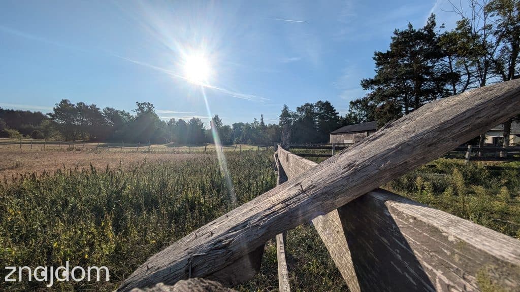 75 arów | 7 ar MN + 68 ar rolnych | Kazimierzów - zdjęcie 6