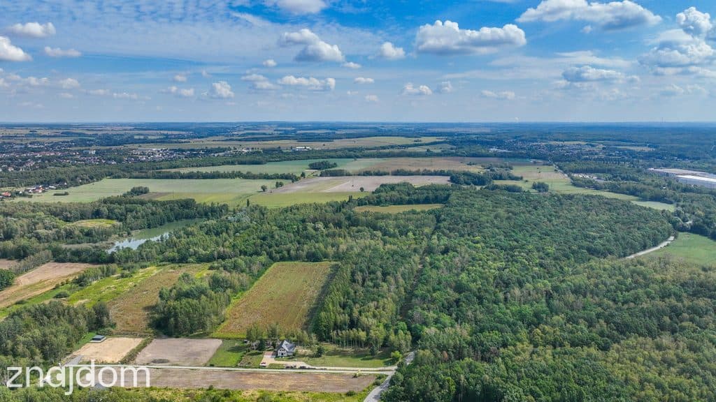 Idealne miejsce na własne siedlisko las i woda - zdjęcie 7