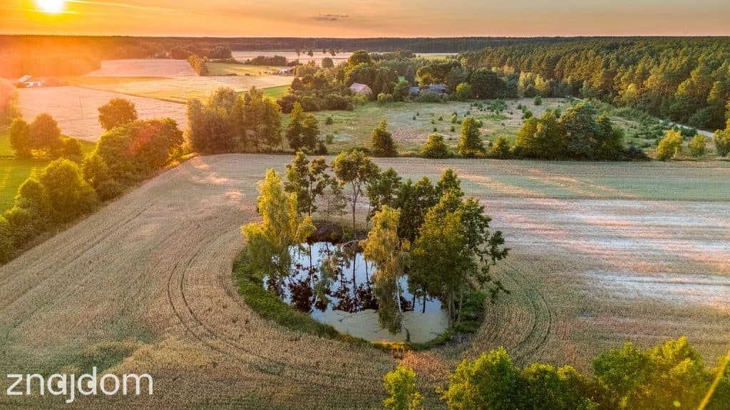 Widok na las, 5 min od miasta - zdjęcie 13