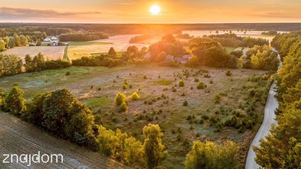 Widok na las, 5 min od miasta - zdjęcie 4