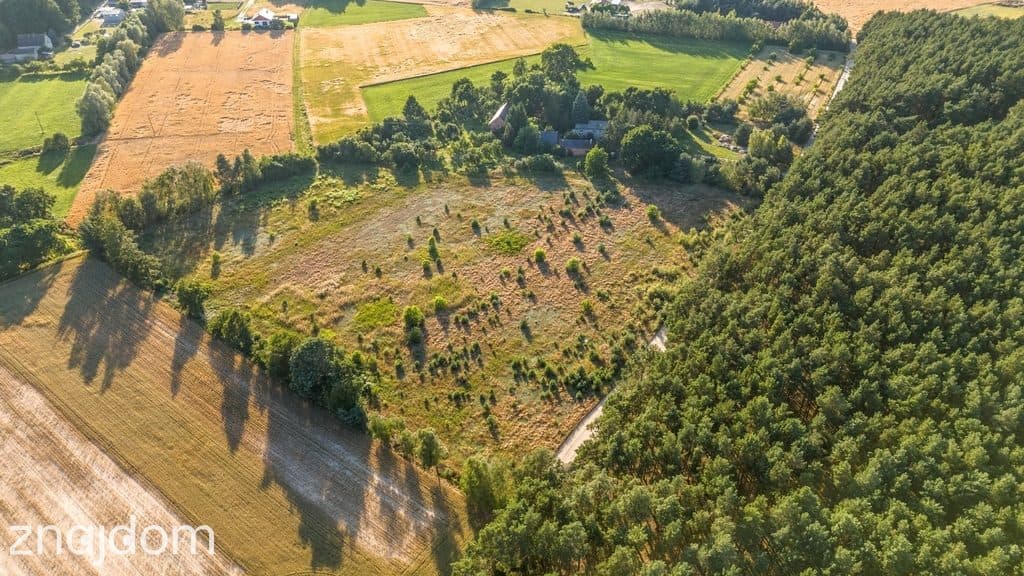 Widok na las, 5 min od miasta - zdjęcie 6