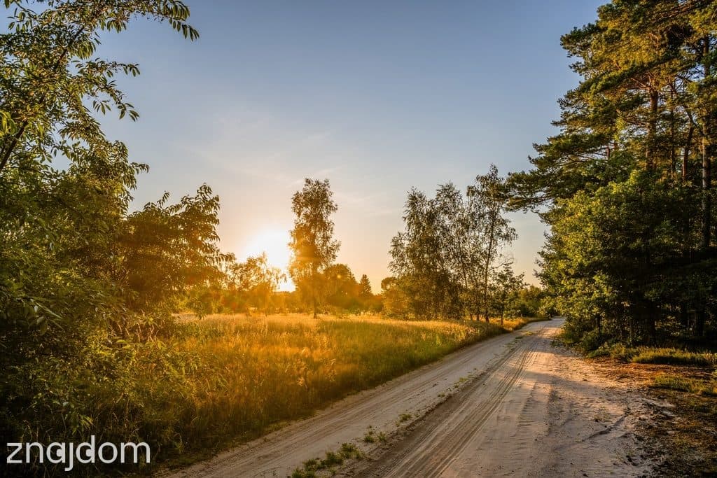 Widok na las, 5 min od miasta - zdjęcie 8