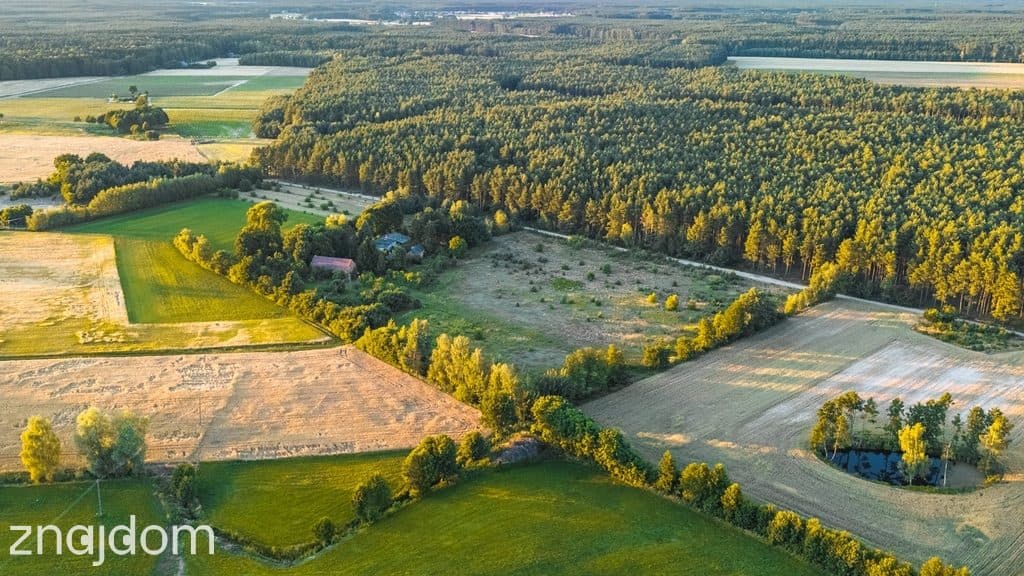 Widok na las, 5 min od miasta - zdjęcie 2