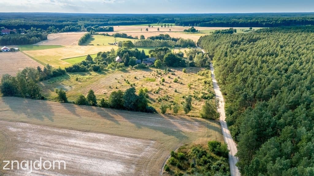 Widok na las, 5 min od miasta - zdjęcie 9