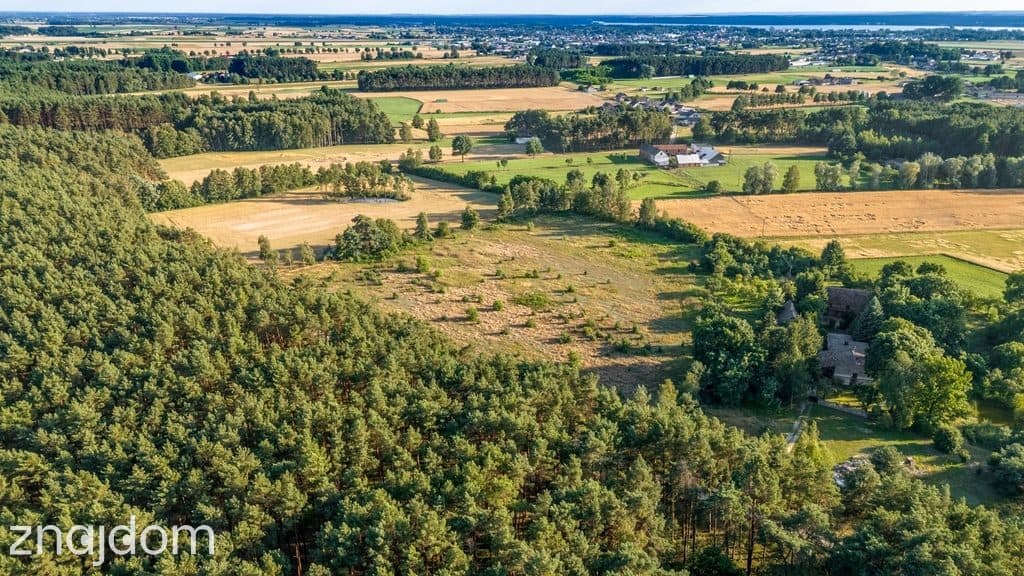 Widok na las, 5 min od miasta - zdjęcie 10