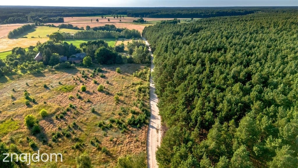 Widok na las, 5 min od miasta - zdjęcie 12