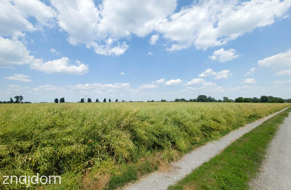 Działka 1140 m² Przeworsk ul. Korczaka – MPZP - zdjęcie 8